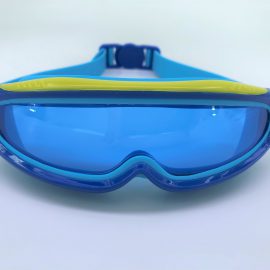 Blue Robots goggle clear lens with back buckle